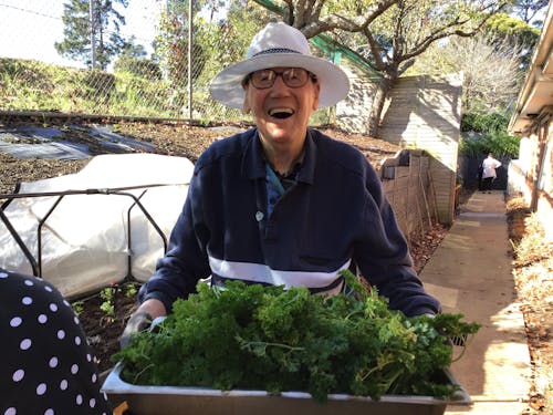 Lifeview The Willows